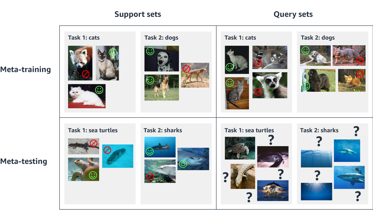 Meta Learning Examples Learning computational tasks from single examples - Amazon Science